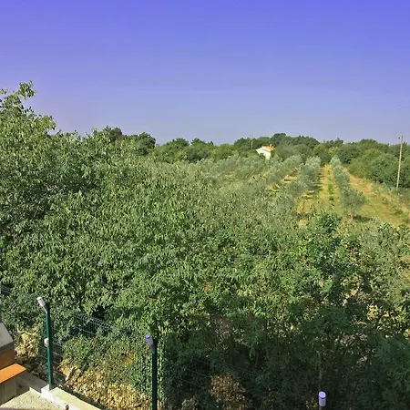 Vacation 4m Tatil Evi